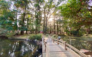 都農神社