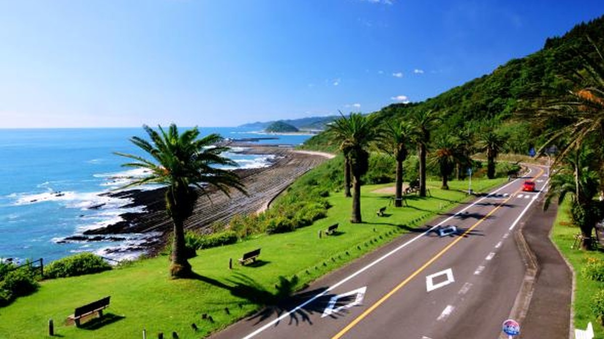 1月 宮崎冬絶景 堀切峠 フェニックス並木