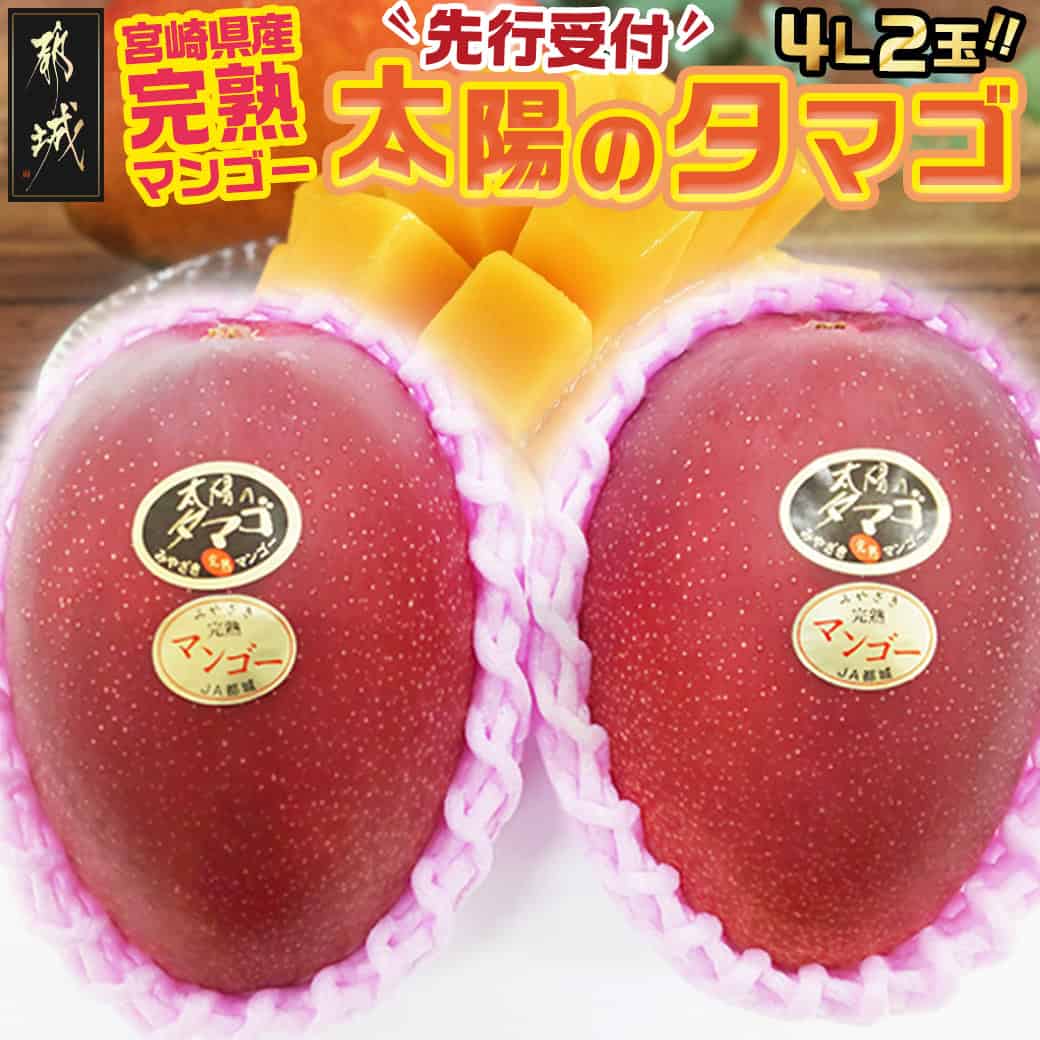 楽天ふるさと納税 宮崎マンゴー 食べ方 レシピ 生 スムージー 冷凍