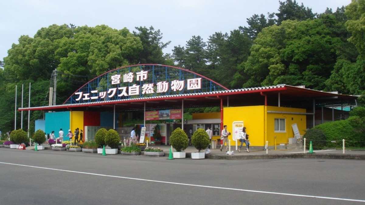 宮崎暇つぶし-フェニックス自然動物園の動物たち